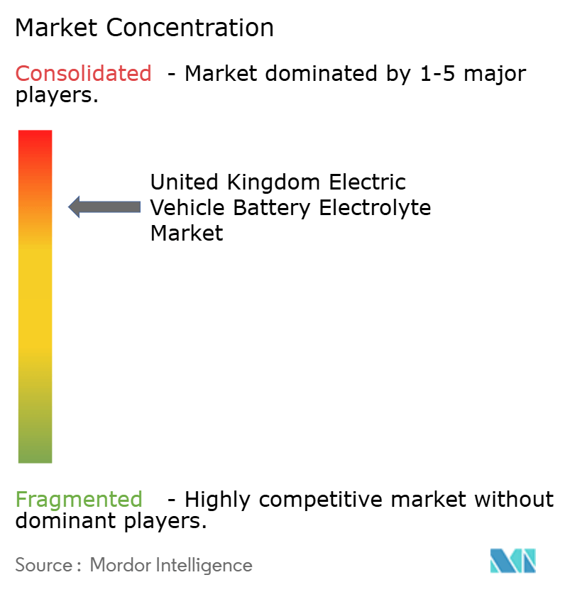 United Kingdom Electric Vehicle Battery Electrolyte Market Concentration