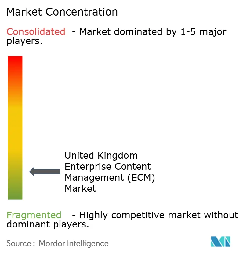 United Kingdom Enterprise Content Management (ECM) Market Concentration