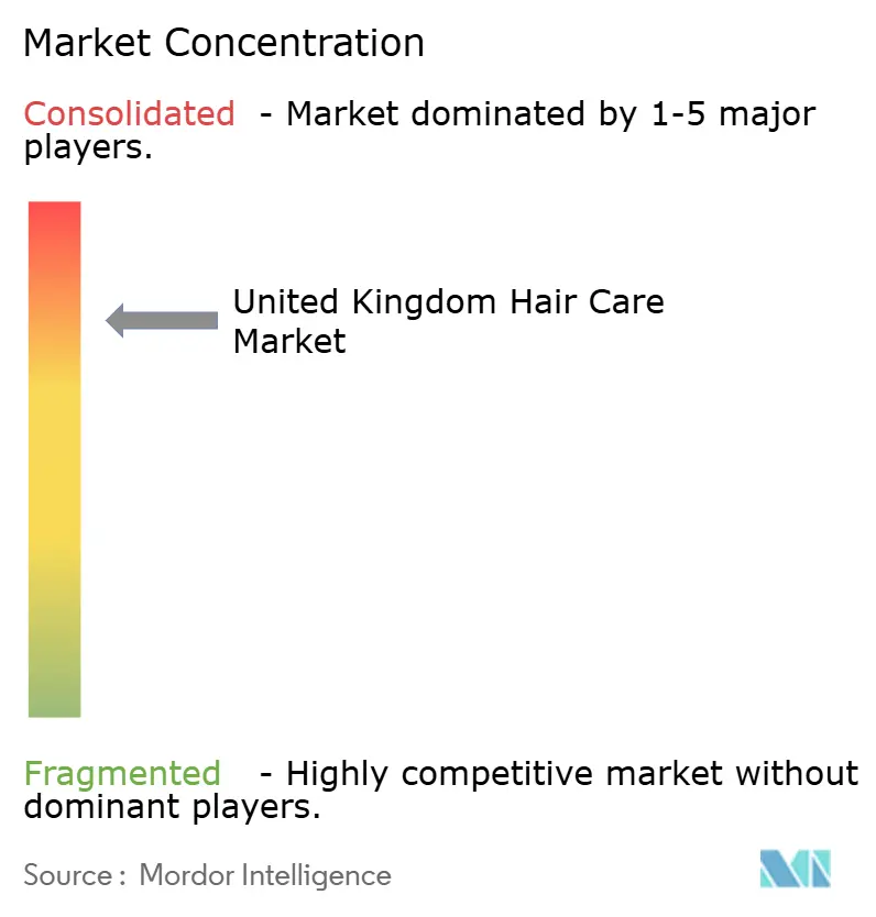 United Kingdom Hair Care Market Concentration