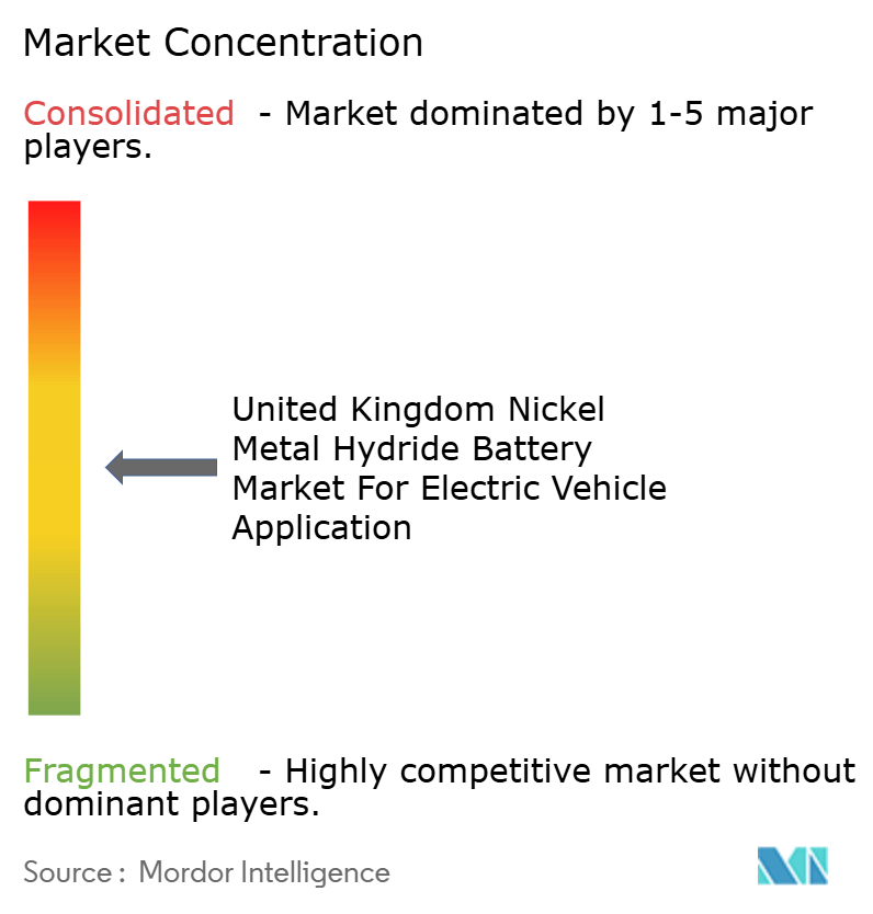 United Kingdom Nickel Metal Hydride Battery  Market Concentration