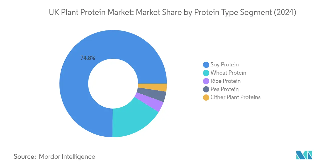 Market Analysis of United Kingdom Plant Protein Market: Chart for Protein Type