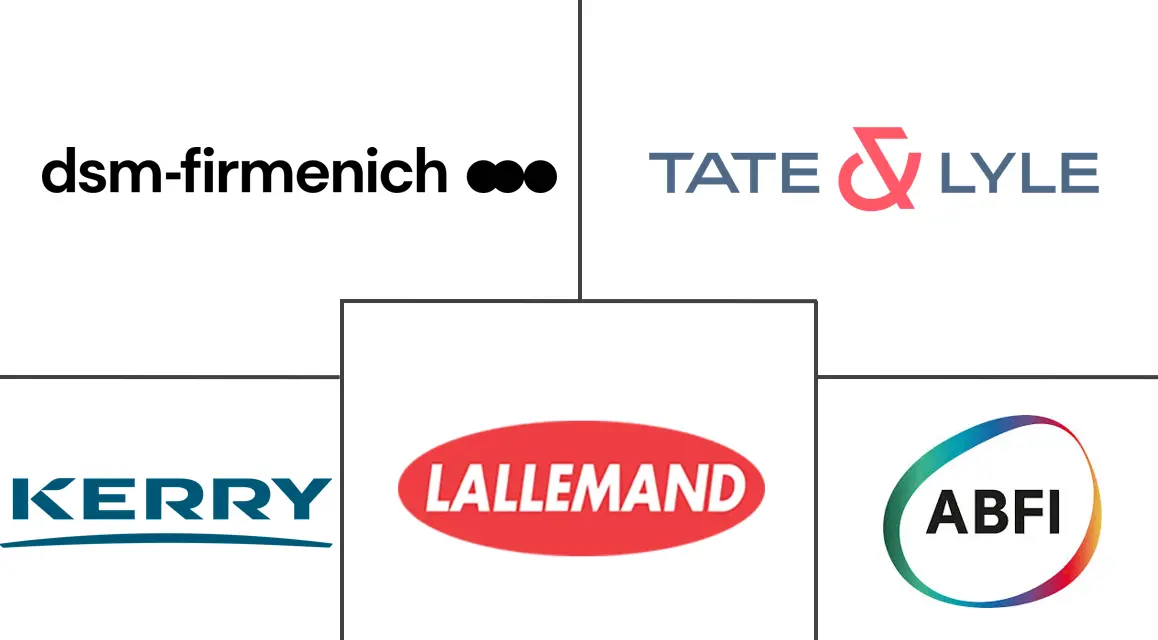 Major players in United Kingdom Sodium Reduction Ingredient industry