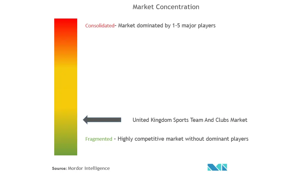 UK Sports Team And Clubs Market Concentration