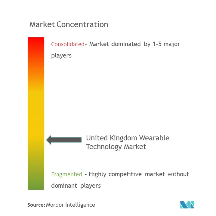 UK Wearable Technology Market Concentration