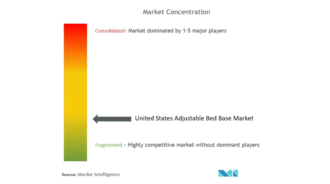 US Adjustable Bed Bases Market Concentration