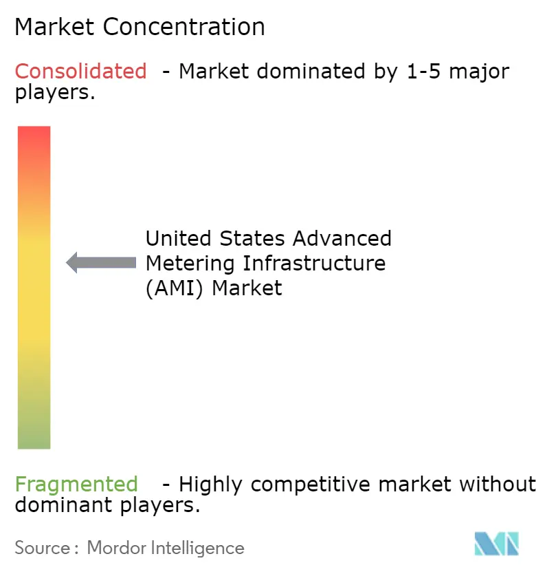 Competetive Landscape United States AMI.png