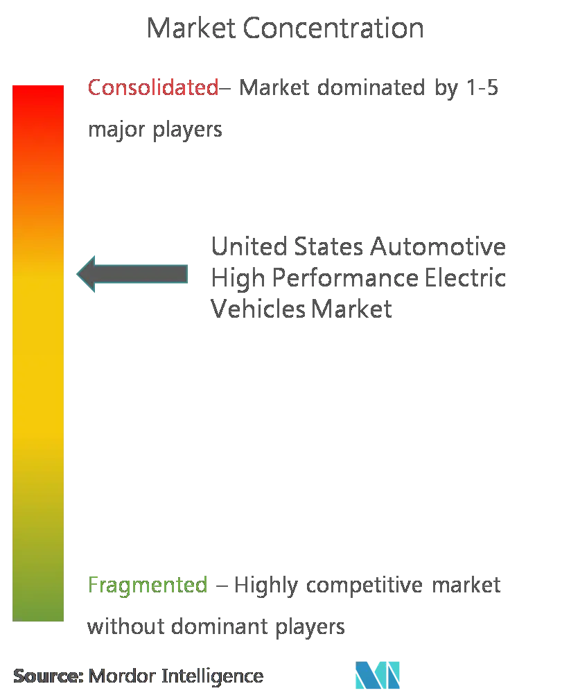 United States Automotive High Performance Electric Vehicles Market - Concentration.png