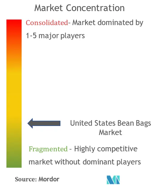 United States Bean Bags Market Concentration