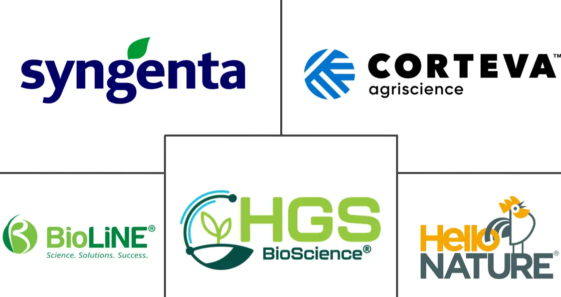 Related Companies Logo