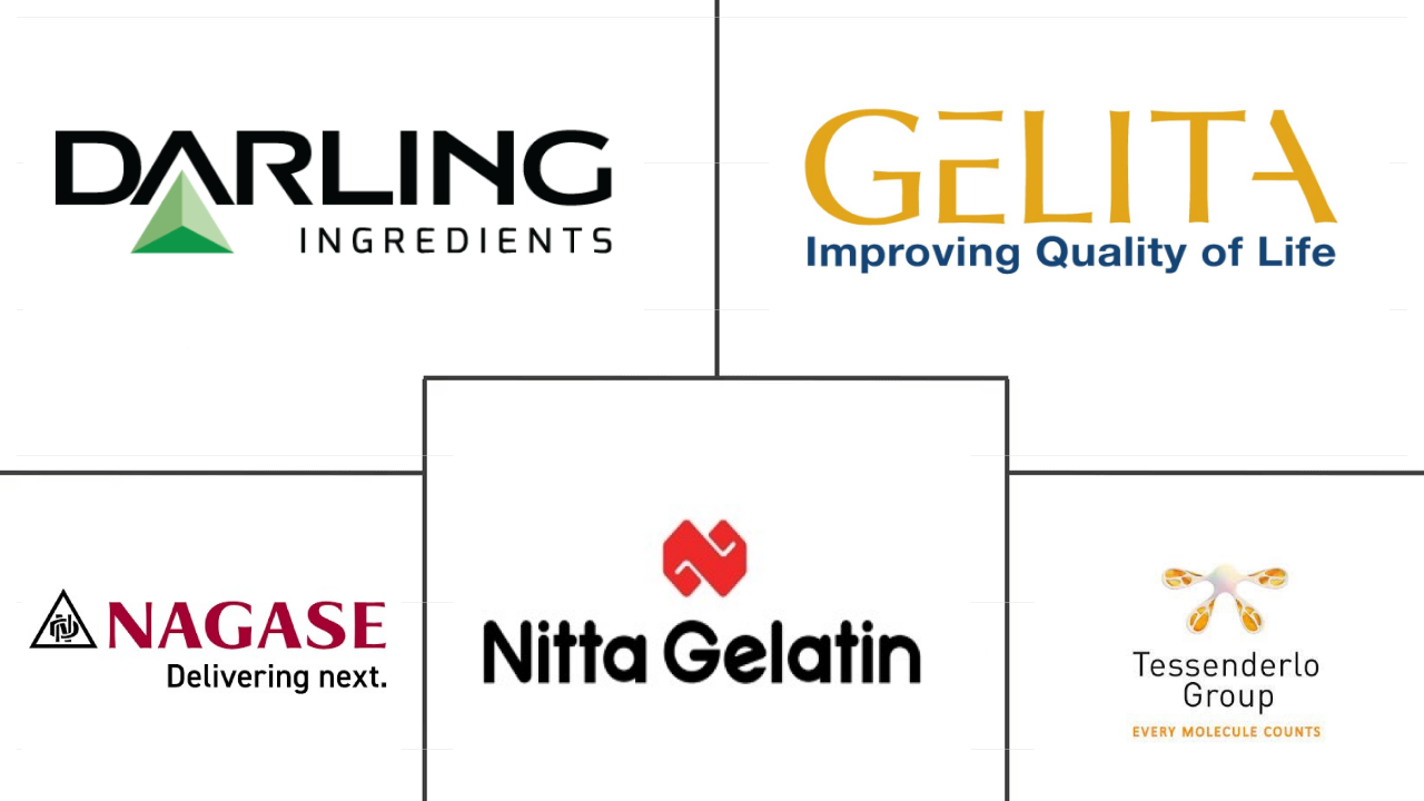 Principais participantes em Mercado de Colágeno dos Estados Unidos indústria