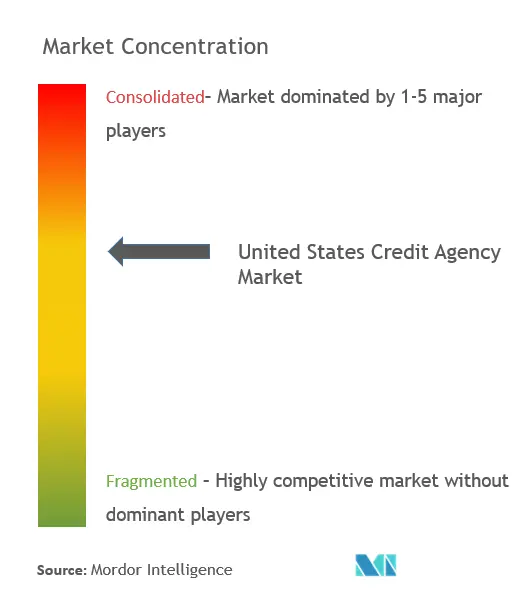 United States Credit Agency Market Concentration