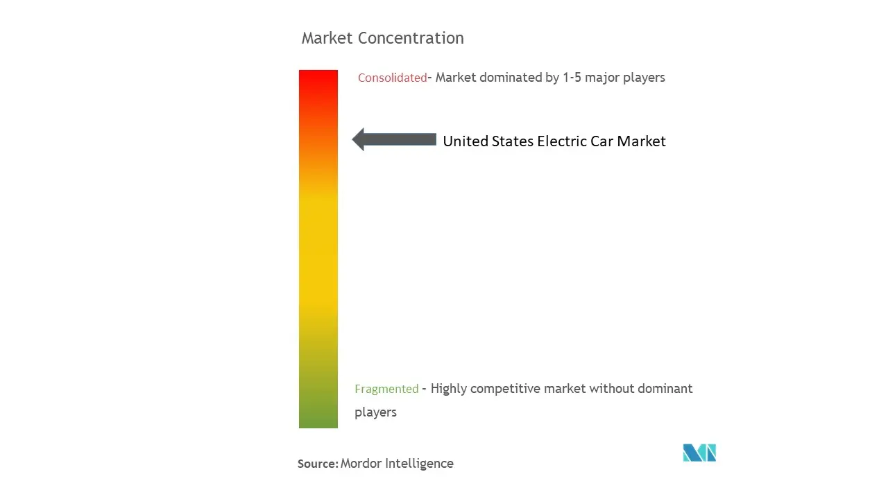 US Electric Car Market Concentration