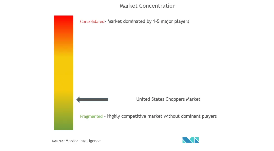 United States Electric Vegetable Choppers Market Concentration