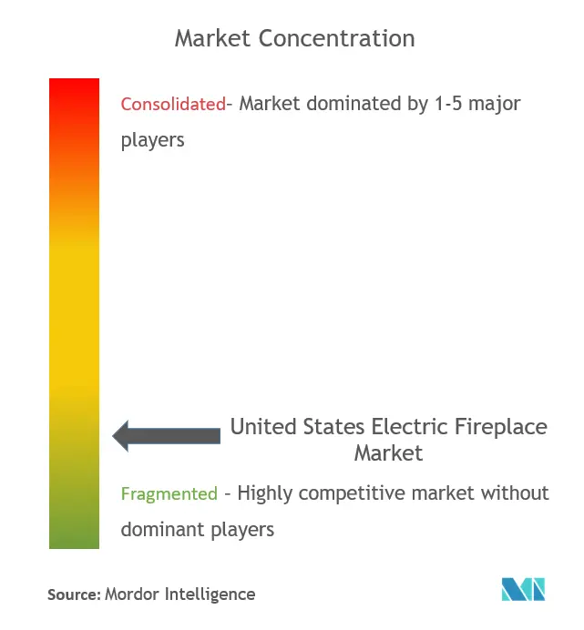 United States Electric Fireplace Market Concentration