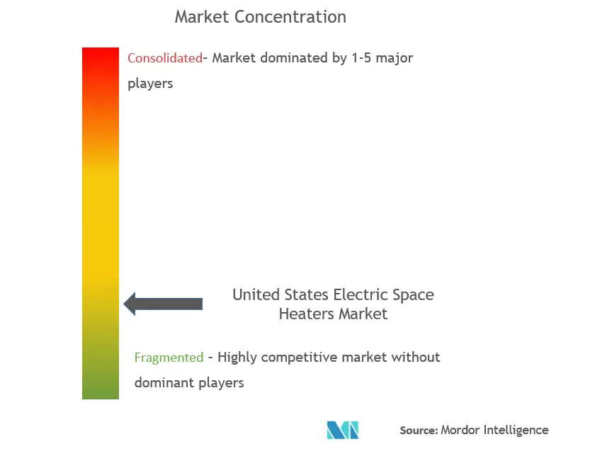 United States Electric Space Heaters Market Concentration