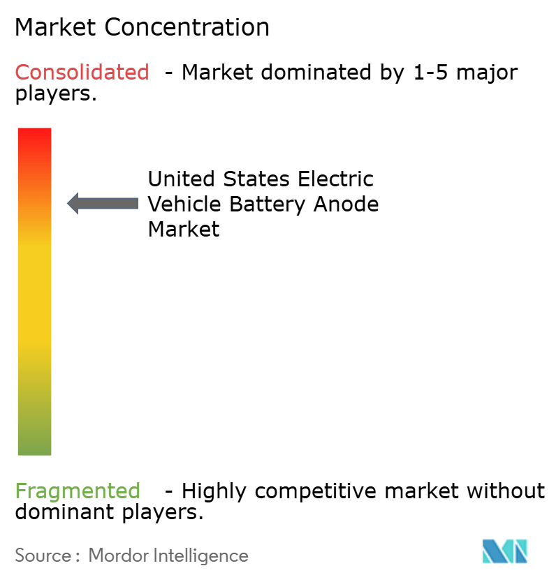 United States Electric Vehicle Battery Anode Market Concentration