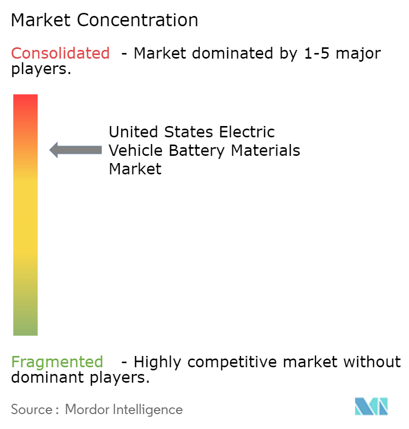 United States Electric Vehicle Battery Materials Market Concentration