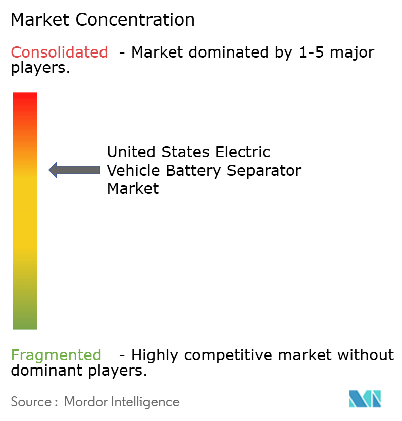 United States Electric Vehicle Battery Separator Market Concentration