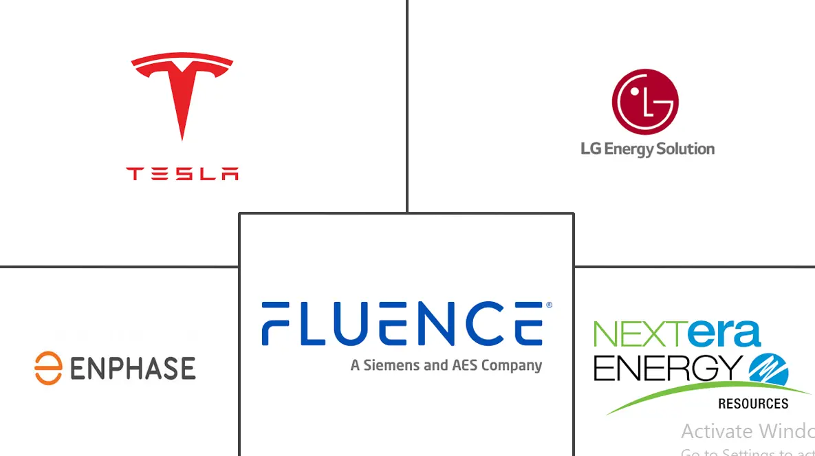 Major players in United States Energy Storage industry