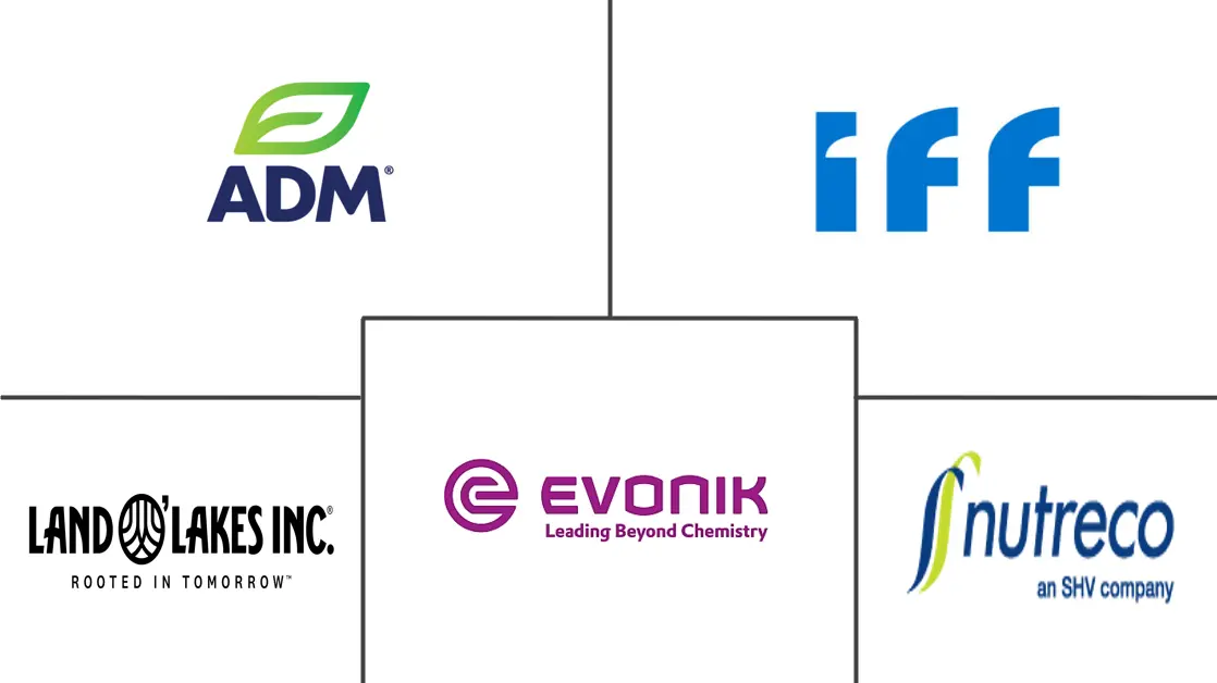 Major players in United States Feed Amino Acids industry