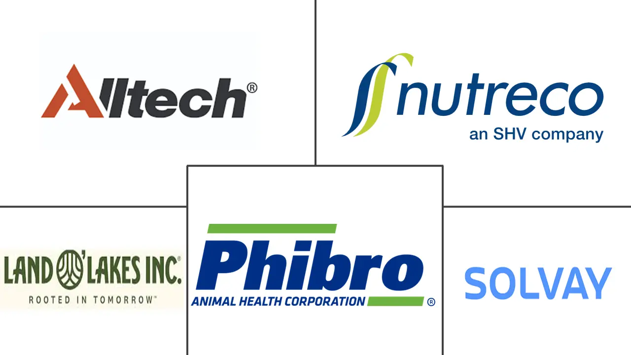 Logo delle aziende correlate