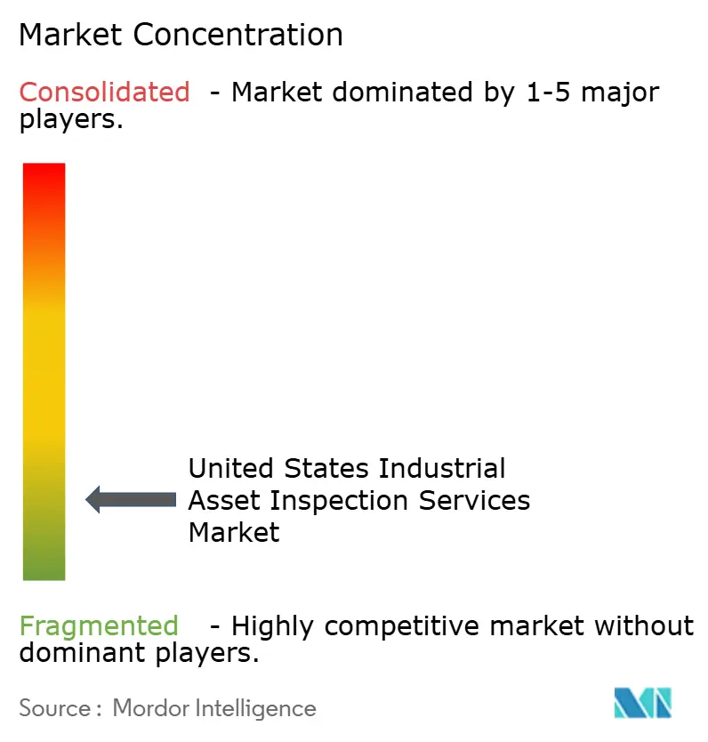 United States Industrial Asset Inspection Services Market Concentration