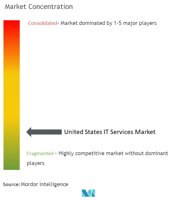 Concentração do mercado de serviços de TI nos Estados Unidos