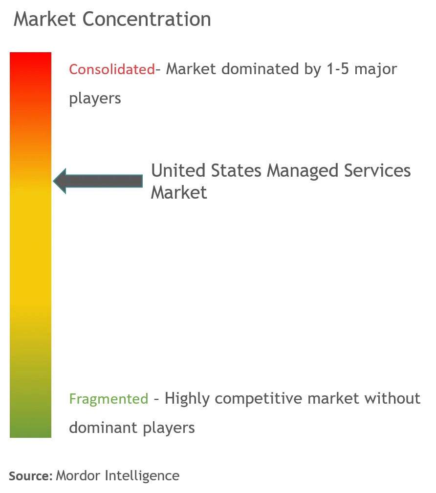 Fujitsu Ltd., Cisco Systems Inc., IBM Corporation, AT&T Inc., Microsoft Corporation