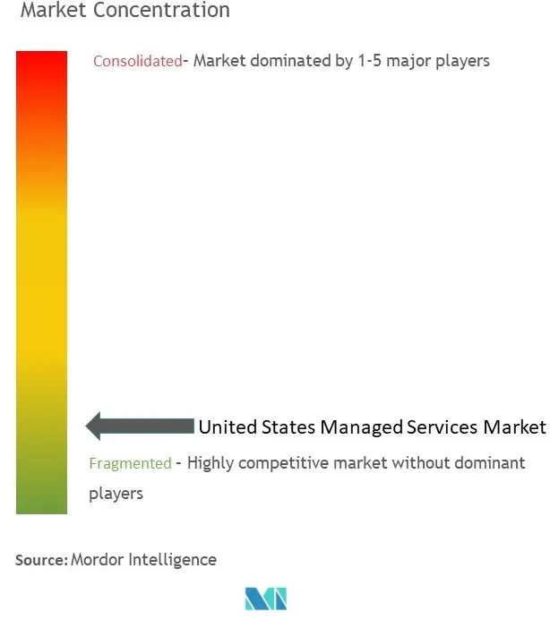 Servicios gestionados de Estados UnidosConcentración del Mercado