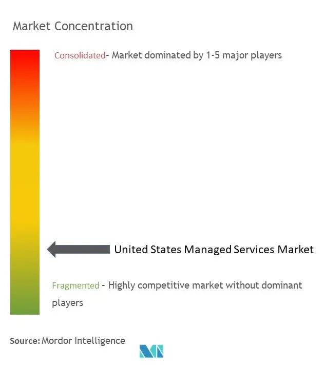 United States Managed Services Market Concentration