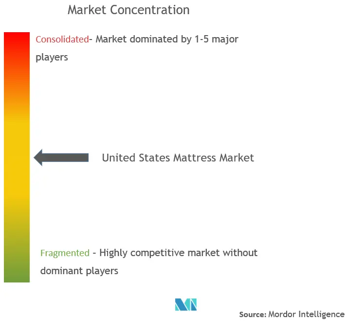 United States Mattress Market Concentration