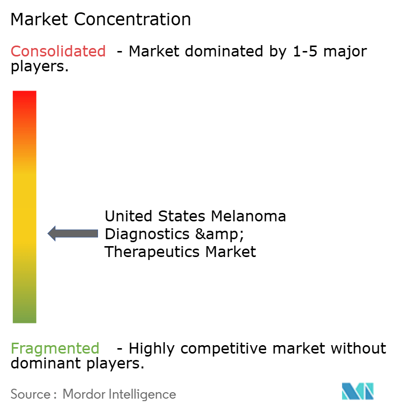 United States Melanoma Diagnostics & Therapeutics Market Concentration