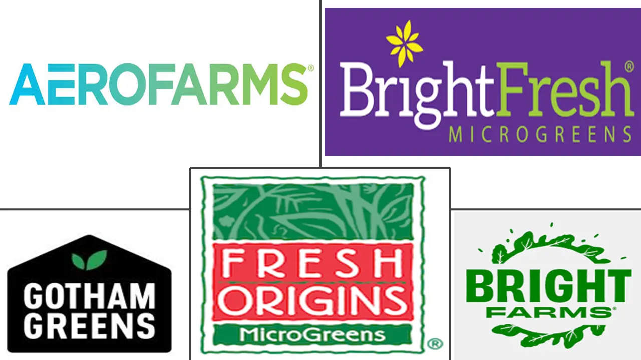 Related Companies Logo