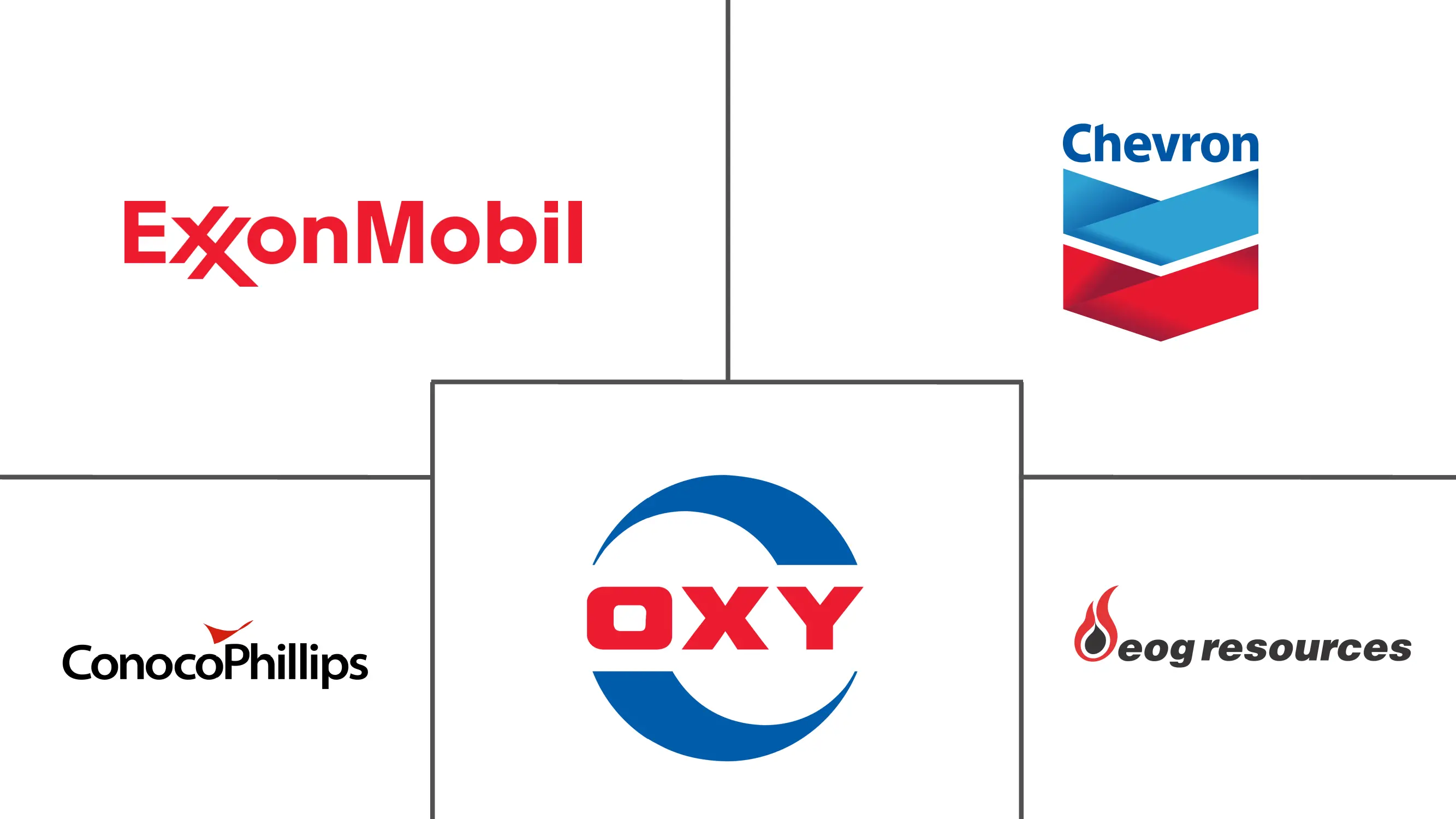  米国の天然ガス市場 Major Players