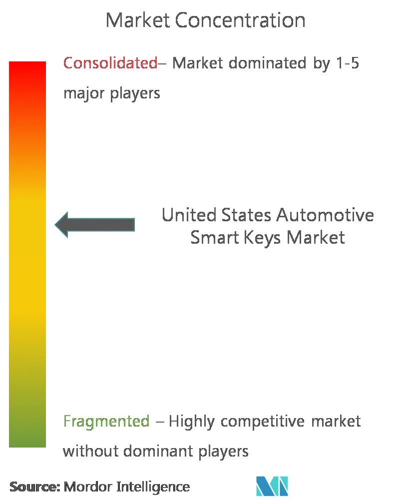 Llaves inteligentes automotrices de EE. UU.Concentración del Mercado