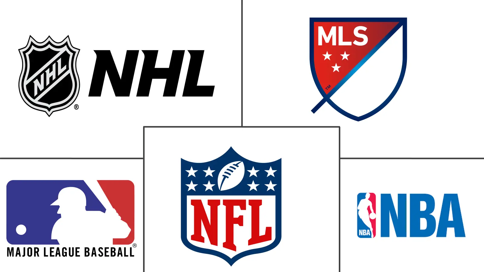 Major players in United States Spectator Sports industry