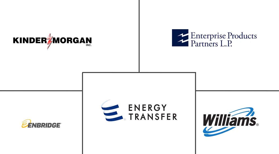 미국 석유 및 바카라 토토 사이트 Midstream 산업의 주요 참여자