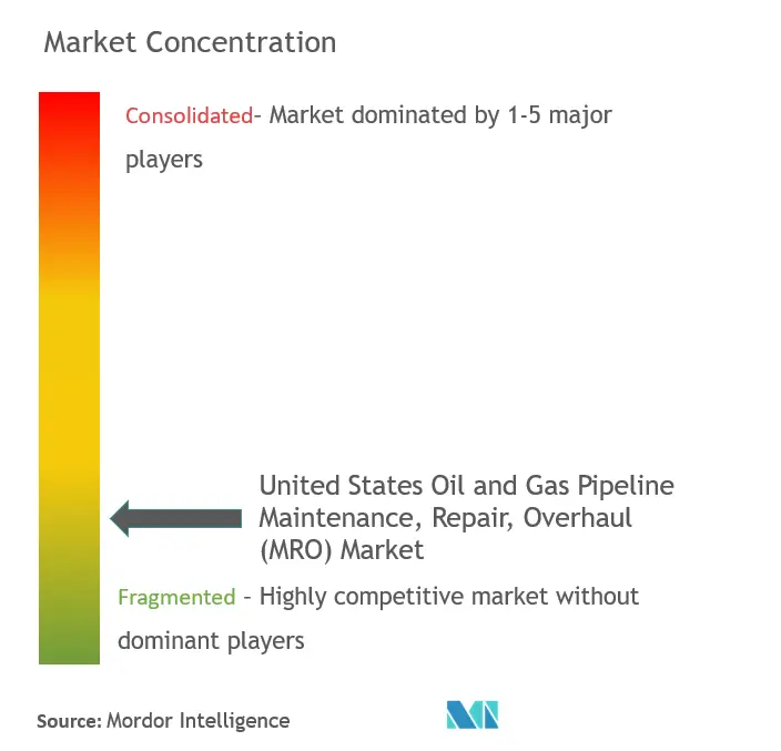 米国の石油およびガスパイプラインの保守、修理、オーバーホール (MRO)市場集中度