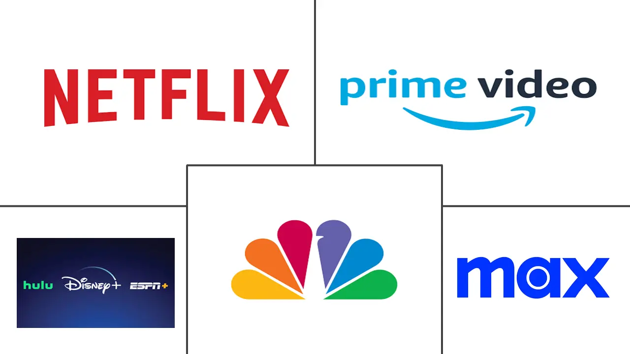 Major players in US OTT industry