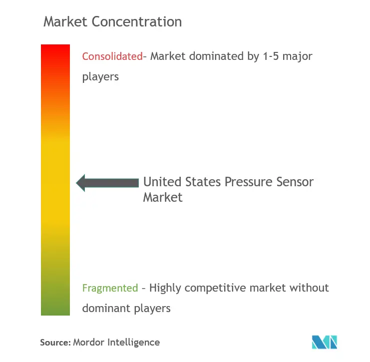 Sensores de presión de EE. UU.Concentración del Mercado
