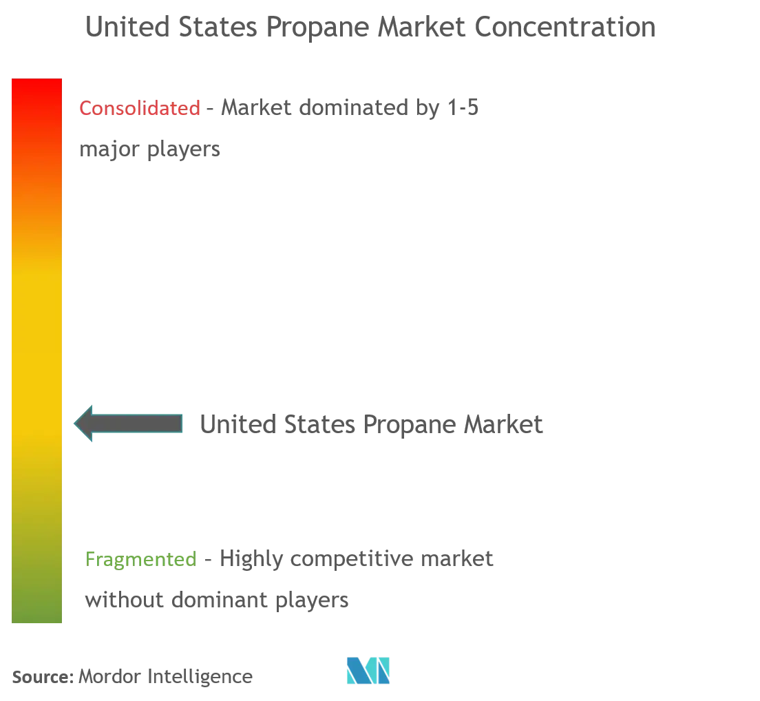 United States Propane Market Concentration.png