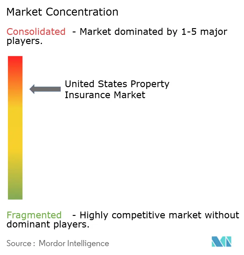 United States Property Insurance Market Concentration