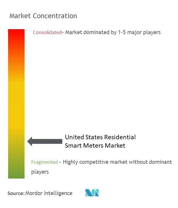 US Residential Smart Meters Market Concentration
