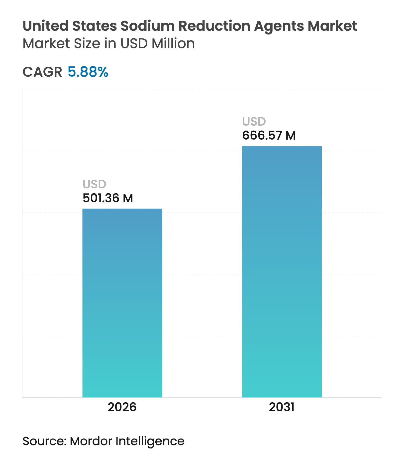 United States Sodium Reduction Agents Market (2025 - 2030)