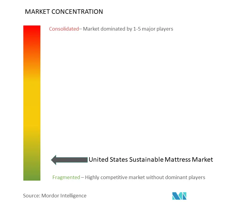 US Sustainable Mattress Market Concentration