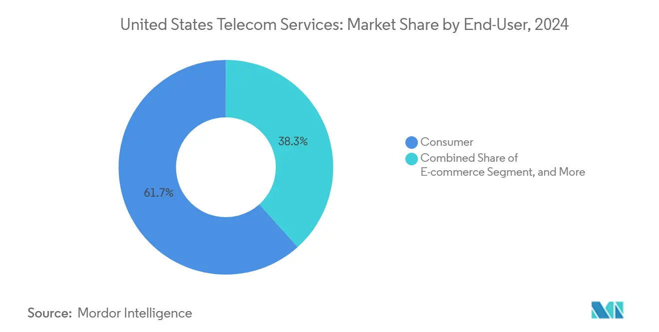 United States Telecom Services: Market Share by End-User