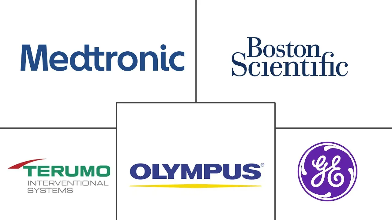 Major players in United States Uterine Fibroids Treatment Devices industry