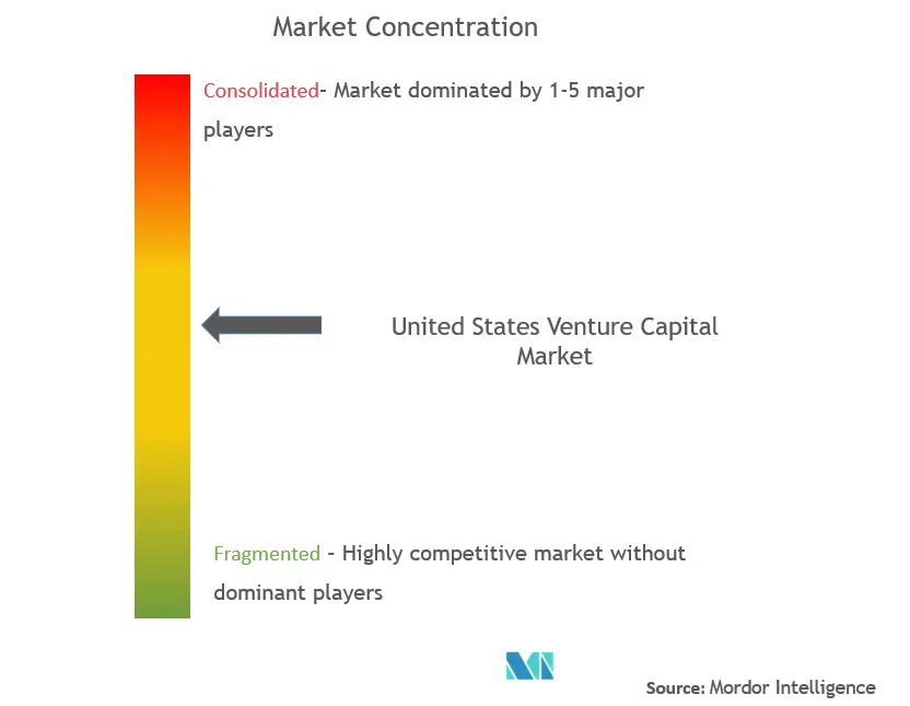 United States Venture Capital Market Concentration