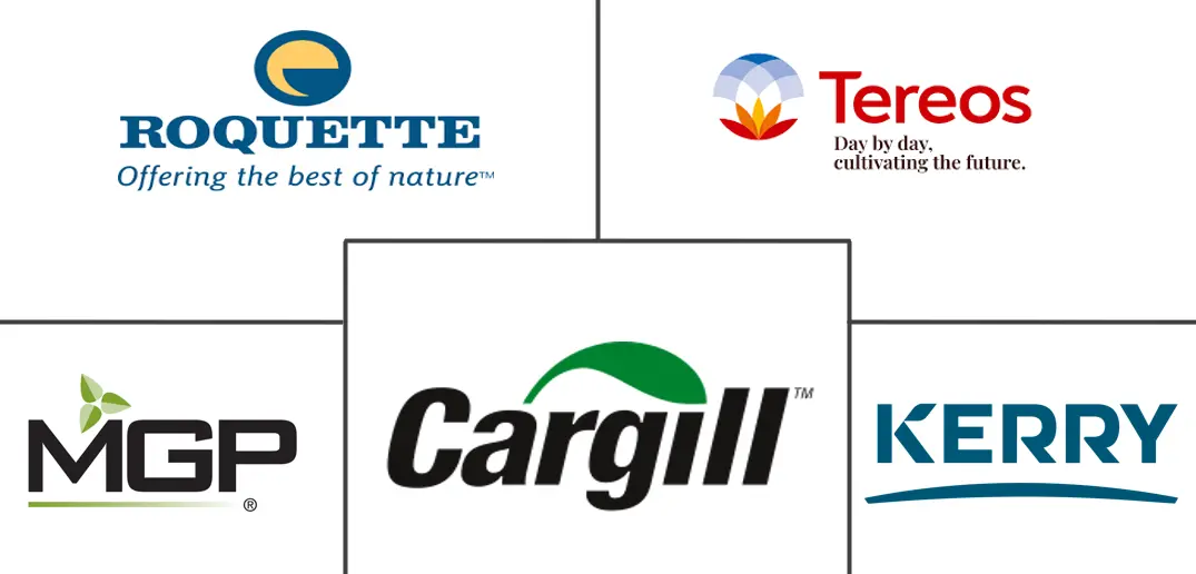 Major players in United States Wheat Protein industry