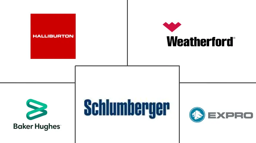 Principales actores del mercado de servicios de registro por cable de EE. UU.